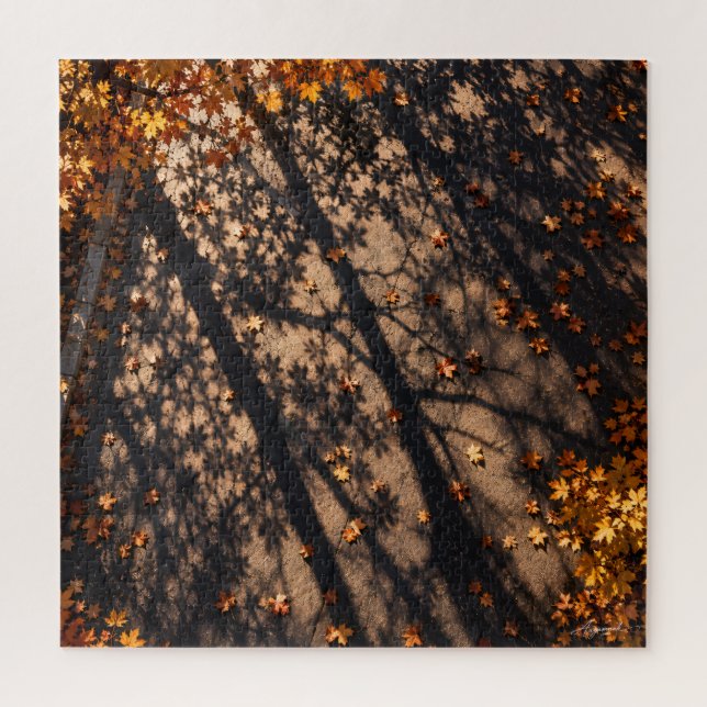 Quebra-cabeça Fotografia de Sombras de Árvores em Calçada em Gra (Vertical)