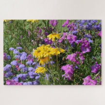 Fotografia de um monte de lindas flores coloridas