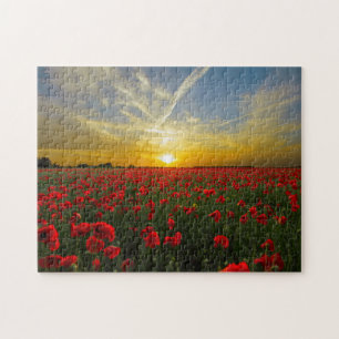 Quebra-cabeça Fotografia do Sunset Field Red Poppy