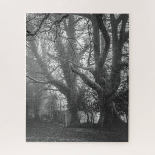 Quebra-cabeça Fotografia em Preto e Branco da Floresta Negra