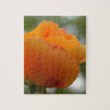 Fotografia linda de rosa amarela.