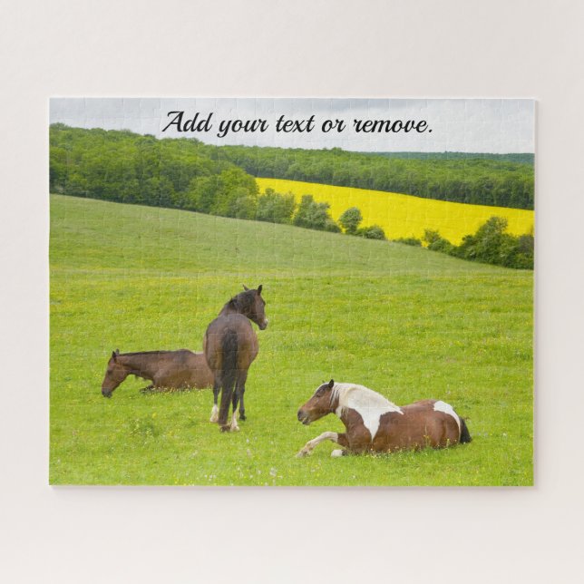 Quebra-cabeça Fotografia natural, cavalos castanhos selvagens nu (Horizontal)