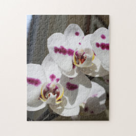 Quebra-cabeça Fotografia Orquídea Branca e Rosa