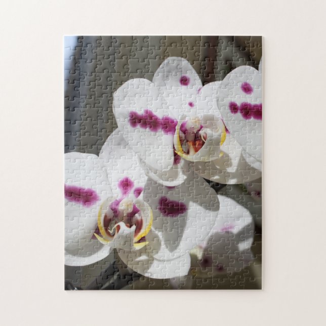 Quebra-cabeça Fotografia Orquídea Branca e Rosa (Vertical)