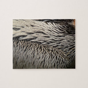 Quebra-cabeça Fotografia Pelican Feather Abstrato Nature