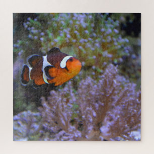 Quebra-cabeça Fotografia subaquática de Anemone Coral, no Mar d