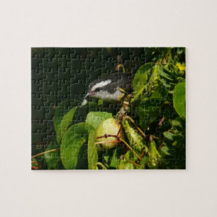 Quebra-cabeça Fotografia tropical de alimentação de aves de Bana
