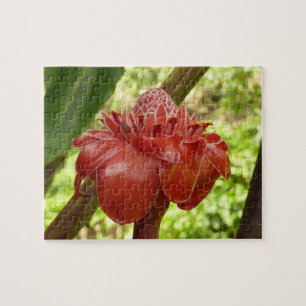 Quebra-cabeça Fotografia Tropical do Flor Vermelho Torch Ginger