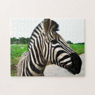 Quebra-cabeça Fotografia Zebra legal