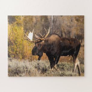 Quebra-cabeça Fotos de Alce Majestoso na Natureza