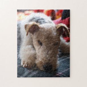 Quebra-cabeça Fox Terrier