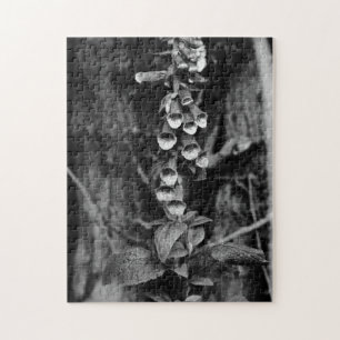 Quebra-cabeça Foxgloves