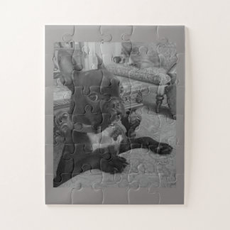 Quebra-cabeça francês