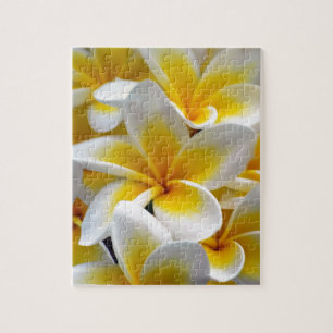 Quebra-cabeça Frangipani Plumeria Flower Photo