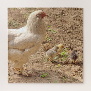 Quebra-cabeça frango, animal, pintinho, ave, fazenda, fofo, queb