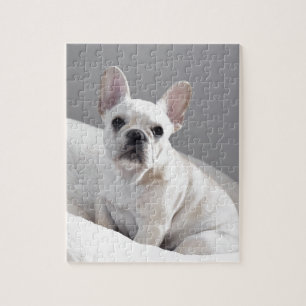 Quebra-cabeça Frenchie de creme