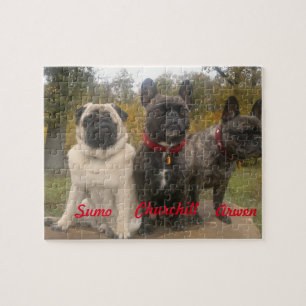 Quebra-cabeça Frenchies & Pugs