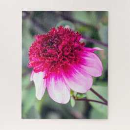 Quebra-cabeça Frilly Pink e Magenta Dahlia com duas tonalidades