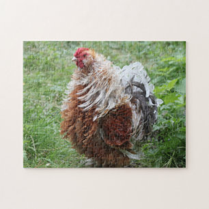 Quebra-cabeça Frizzle Sizzle Fluffy Rooster na grama