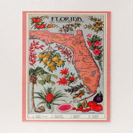 Quebra-cabeça Fruta 16x20 Jigsera da Flórida