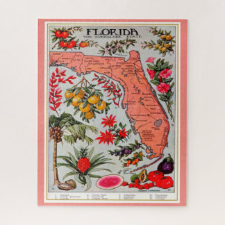 Quebra-cabeça Fruta 16x20 Jigsera da Flórida