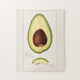 Quebra-cabeça Fruta Avocado (Persea) Pintura por Aquarela