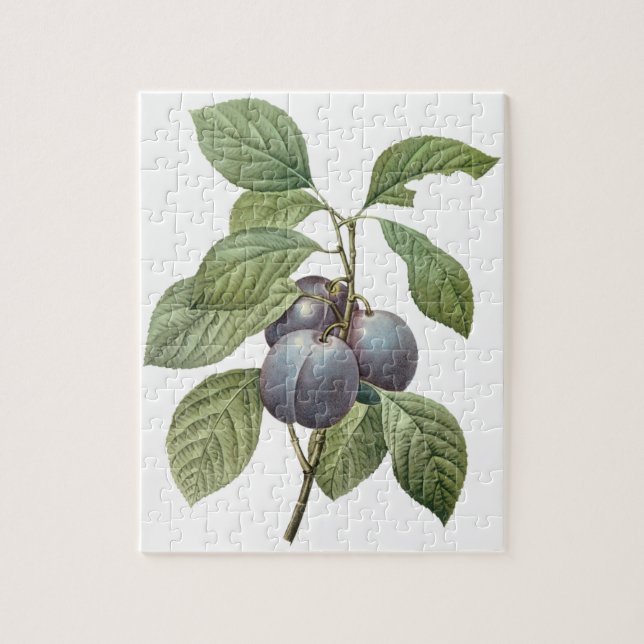 Quebra-cabeça Fruta de Comida, Ameixas de Jardim Roxo por Doutor (Vertical)