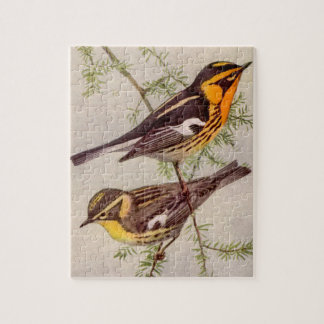 Quebra-cabeça Fuertes Blackburnian Warbler - Pássaro Pintura de