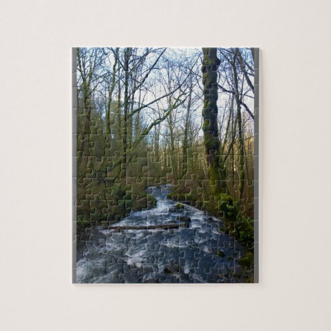 Quebra-cabeça Fuga de Queda de Véu Bridal, OU (Vertical)