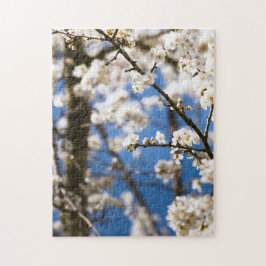 Quebra-cabeça Fundo de céu azul Flor Branca