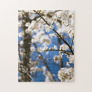 Quebra-cabeça Fundo de céu azul Flor Branca