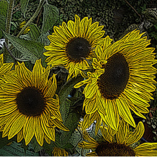 Quebra-cabeça fundo de folhas com grandes flores amarelas