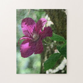 Quebra-cabeça fundo, flor, flor, natureza, verão,