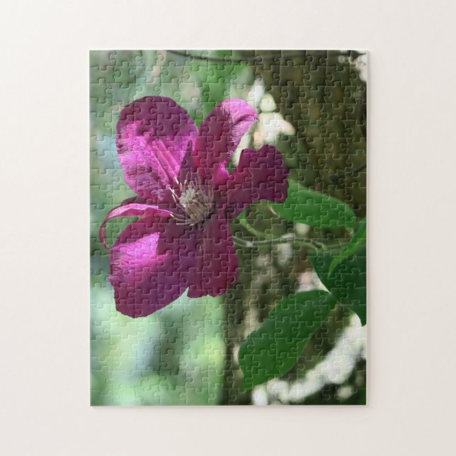 Quebra-cabeça fundo, flor, flor, natureza, verão, (Vertical)