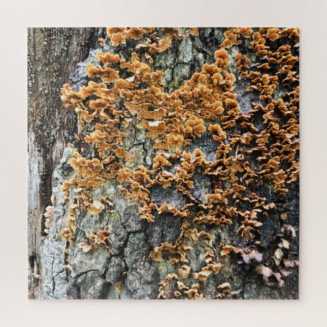 Quebra-cabeça fungos de árvores (Vertical)