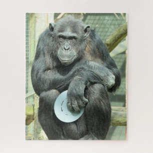 QUEBRA-CABEÇA FUNNY CHIMPANZEE