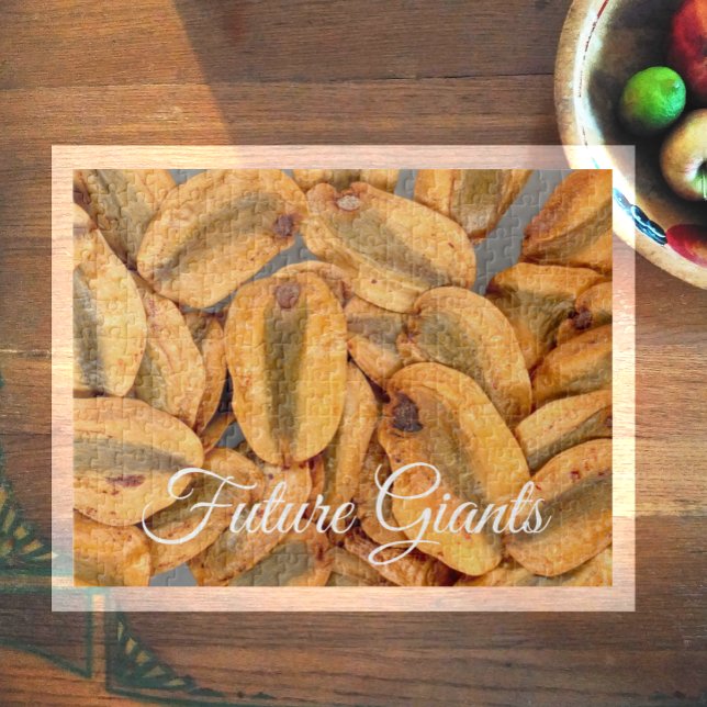 Quebra-cabeça Futuros Gigantes, Sementes de Sequoias Gigantes (Criador carregado)