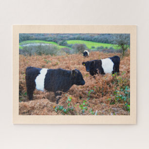 Quebra-cabeça Gado cercado de Galloway