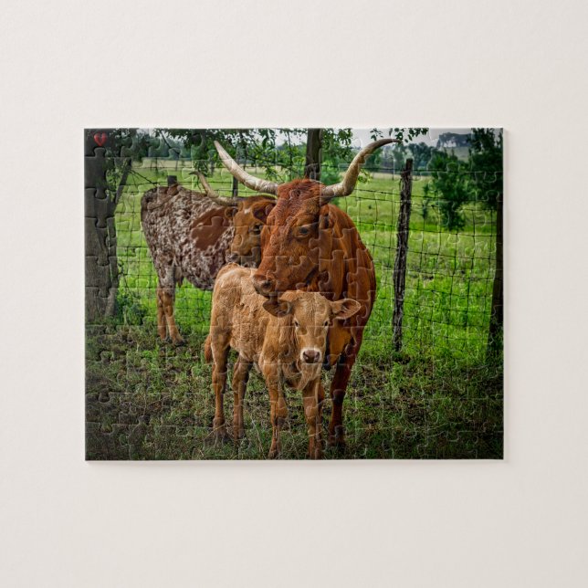Quebra-cabeça Gado Long Horn Texas (Horizontal)