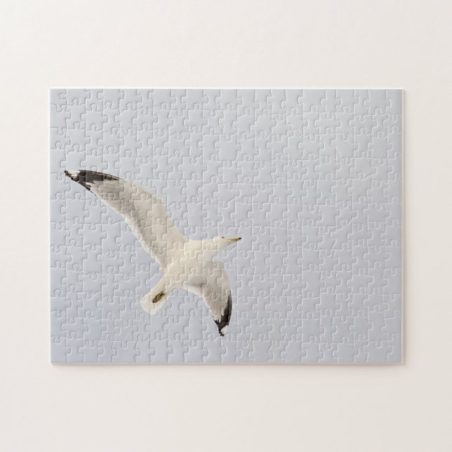 Quebra-cabeça Gaivota (Horizontal)