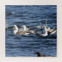 Quebra-cabeça Gaivotas Majestosas Caçando Enguias de Areia Sobre