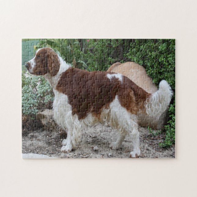 Quebra-cabeça Galês Springer Spaniel Dog Jigsaws. (Horizontal)