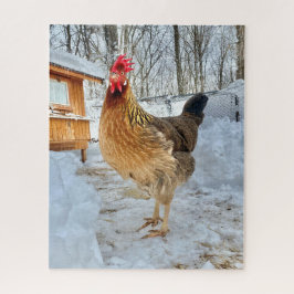 Quebra-cabeça Galinha Digna