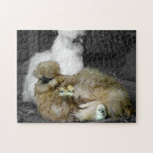 Quebra-cabeça Galinhas de Silkie com os pintinhos que espreitam
