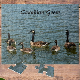 Quebra-cabeça Gansos canadenses no lago fotográfico