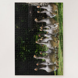 Quebra-cabeça Gansos cinzentos engraçados no Dordogne, France