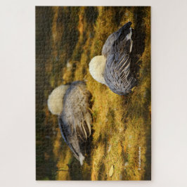 Quebra-cabeça Gansos de Neve Cuta Sonhando no Sol de Verão