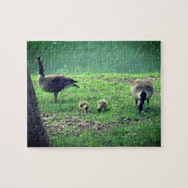 Quebra-cabeça Gansos e Goslings Relaxando Autoatendimento