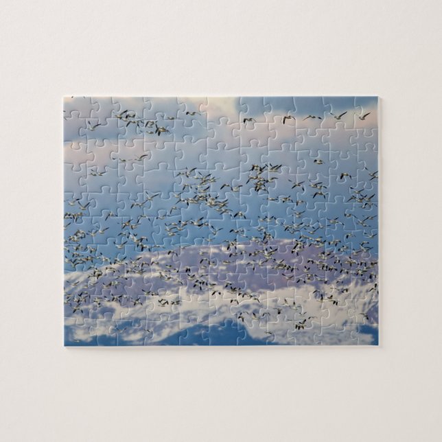 Quebra-cabeça Gansos nevados durante a migração de primavera (Horizontal)