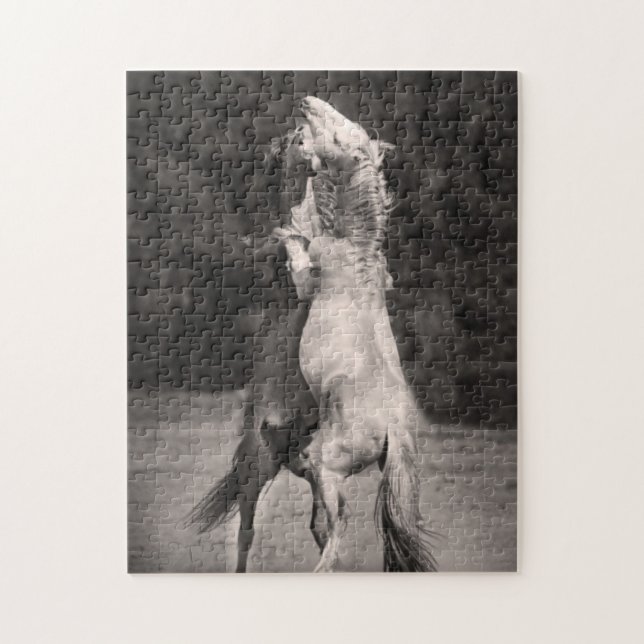 Quebra-cabeça Garanhões da dança (Vertical)